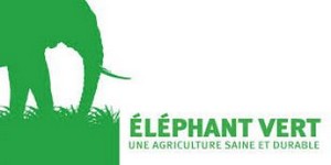 Groupe Elephant Vert